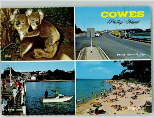 Phillip Island Cowes Koala and Baby Cowes Beach and Jetty
