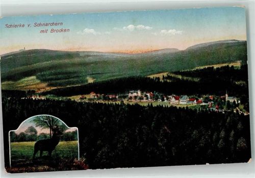 Schierke Hirsch