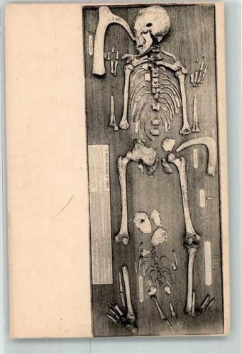 Brüssel Museum Royal Historie Naturelle