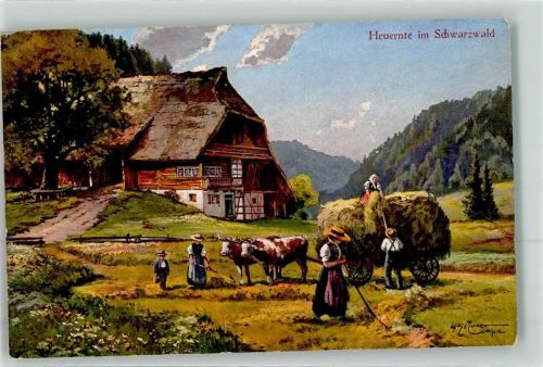 Heuernte Kühe Bauern Schwarzwaldhaus