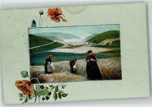 Bäuerinnen Mohnblume Passepartout