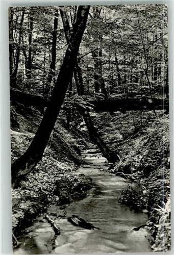 Binenwalde Der Binenbach
