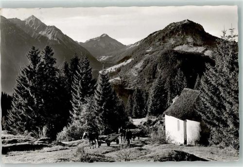 Oberjoch Rotspitze Entschenkopf Imbergerhorn Pferdefuhrwerke