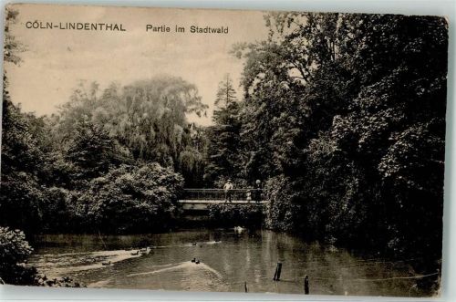 Köln Lindenthal 303 1918 Im Stadtwald