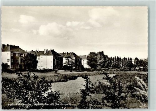 Reinickendorf Breitkopfbecken Paddenpuhl