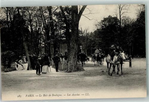 Paris le Bois de Boulogne les Accias