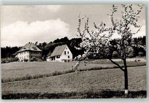Steinbergen