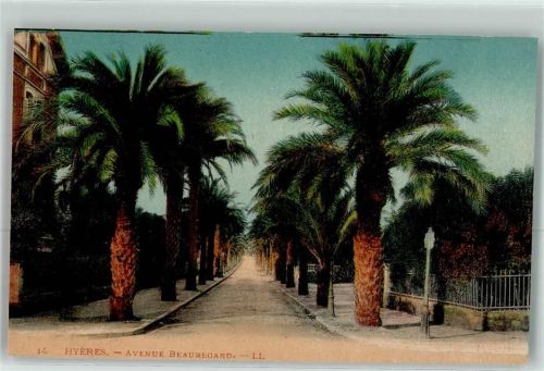 Hyeres Avenue Beauregard Palmen Straße