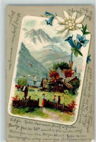 1903 Bauern Kühe Edelweiss Enzian
