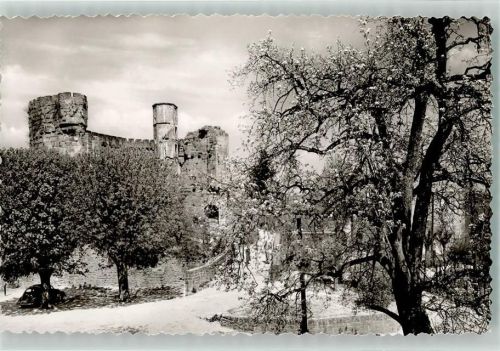 Dilsberg Burg Ruine