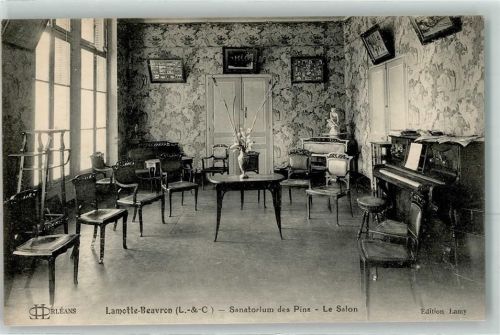 Lamotte-Beuvron Sanatorium des Pins le Salon