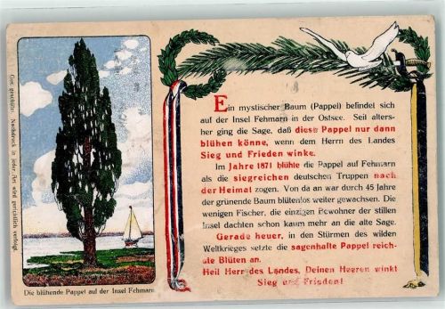 Fehmarn 1916 Blühende Pappel auf der Insel Fehmarn mit Vaterländischer Erzählung Schwarz-Weiß-Rot