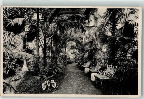 Eisgrub 1939 Palmenhaus Foto AK