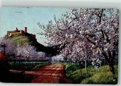 Dorf Tirol Photochromie Serie 143 Nr. 2693 Obstblüte inTirol Burg