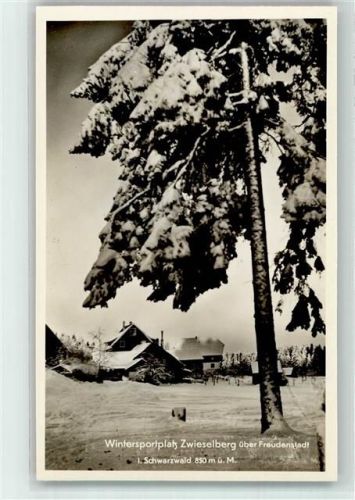 Zwieselberg Gasthaus Pension Auerhahn Winter