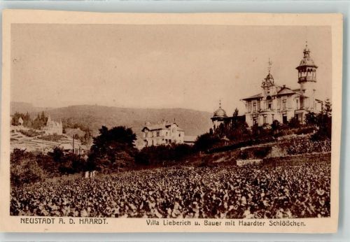 Neustadt Villa Lieverich Bauer Haardter Schloss