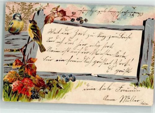 1903 sitzen auf einem Zaun und Wildem Wein Lithographie