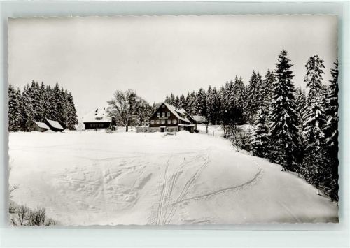Kniebis Pension Finkbeiner Winter