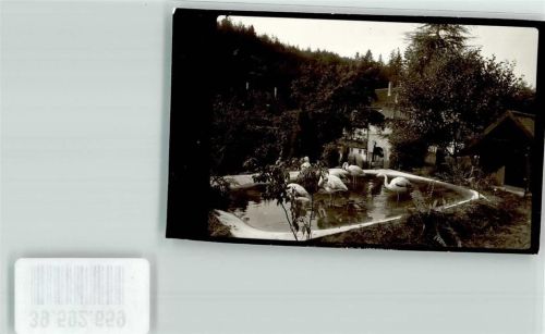 Laubach Märchenzoo Flamingoteich Foto Original aus Archiv eines Ansichtskartenverlags Ort handschriftlich