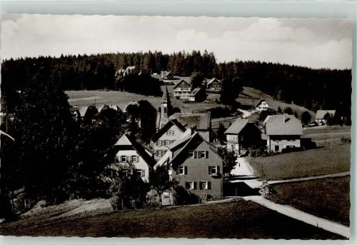 Kniebis Vogelschau