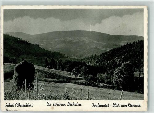 Schirk 1942 Beskieden Foto AK