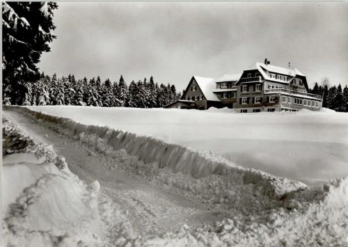 Kniebis Luftkurheim Waldesruhe Winter
