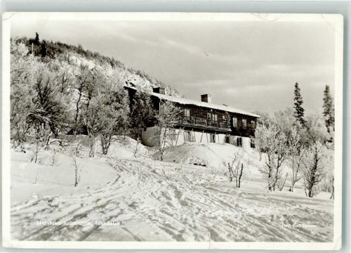 Härjedalen 1958 Ort handschriftlich Tänndalen Foto AK