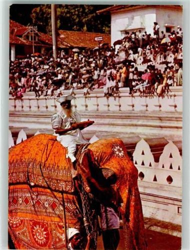 Kandy The day Perahera Brings to an end a ten night pagentry held annually in July August Elefant Volkstyp Tracht