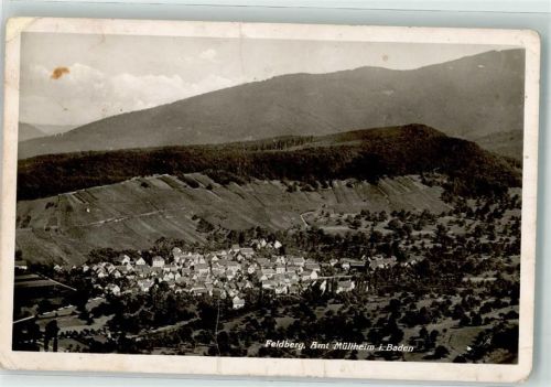 Feldberg