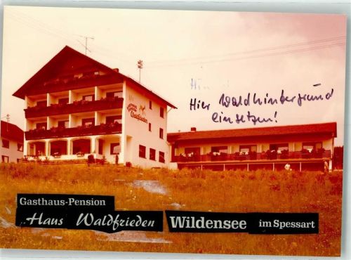 Eschau Foto Original aus Archiv eines Ansichtskartenverlags Gasthaus-Pesion Haus Waldfrieden Wildensee im Spessart Ort handschriftlich