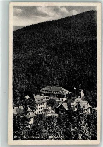 Bärenfels Hotel Kaiserhof Verlag Brück & Sohn Nr. 27867