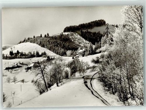 Neuenweg Gasthaus Pension Haldenhof Winter
