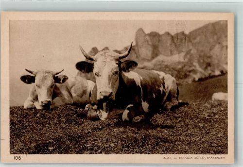 Gemütliche Almbewohner Foto Richard Müller Nr.106