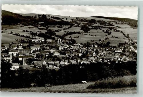 Hilders Foto Trabert