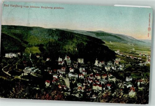Bad Harzburg 1908 Vom kleinen Burgberg gesehen