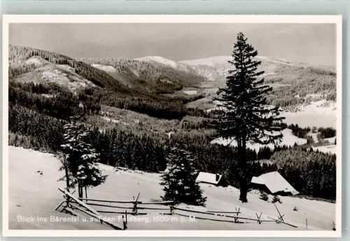 Bärental Feldberg Winter