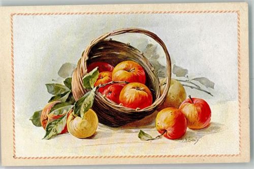 Früchtel Korb G.O.M. Ser. 9