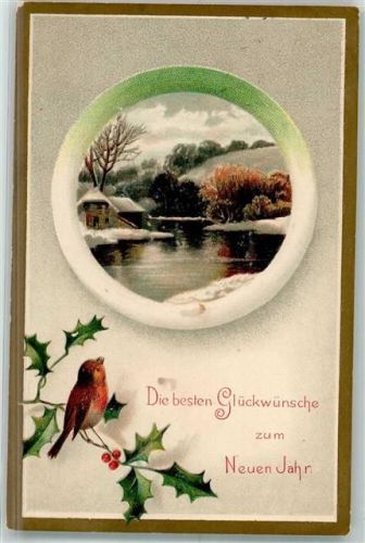 1909 Glückwunsch Rotkehlchen Ilex L u. K Serie No. 1621