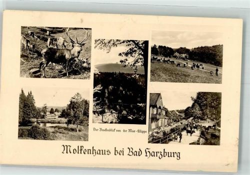 Bad Harzburg 1951 Gasthaus Mur-Klippe Molkenhaus Brockenblick