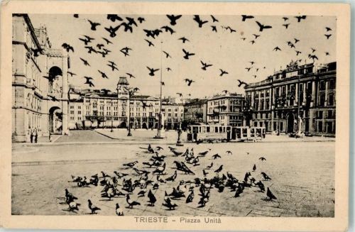 34100 Trieste / Triest / Trst 1934 Foto AK Straßenbahn Piazza Unitá Tauben