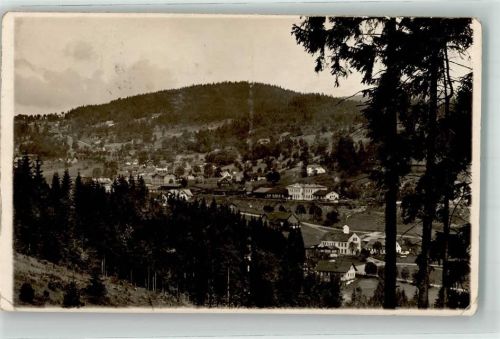 Zelené Udoli 1928 Foto AK