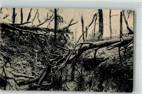 1916 Ein verwüsteter Wald in der Champagne Feldpostkarte des Königlich Sächsischem Reserve-Infanterie-Regimentes 104 WK I