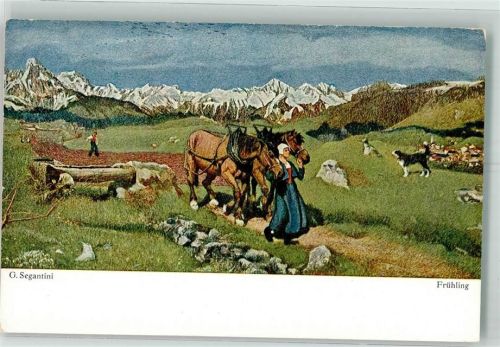 Frühling Pferde Landwirtschaft