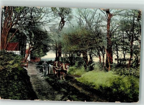1907 Pferdegespann