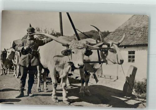 Ochsenwagen Soldat