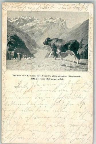 1904 Kühe auf einer Hochgebirgsalm Werbung für Nestle's Kindermehl