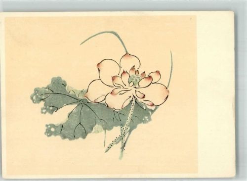 Lotusblüte Hirmer Kunstkarte Nr. 42105 B