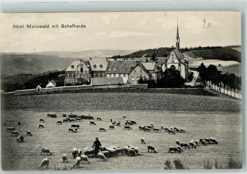 Mariawald Kirche Abtei Schafherde
