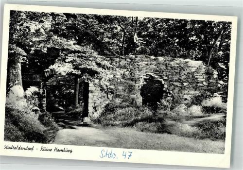Stadtoldendorf Burg Ruine Homburg