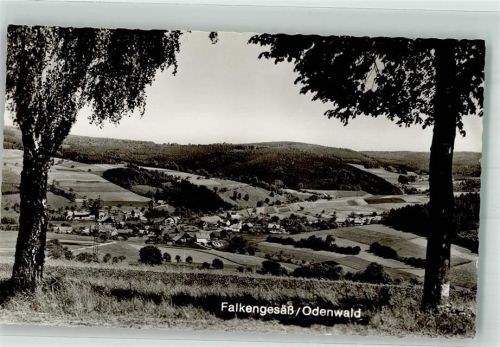 Falken-Gesäß